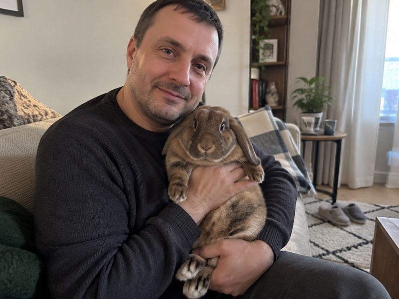 Кролик породы вислоухий баран на руках у владельца