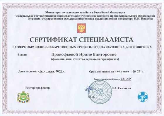 Сертификат: Прокофьева Ирина Викторовна