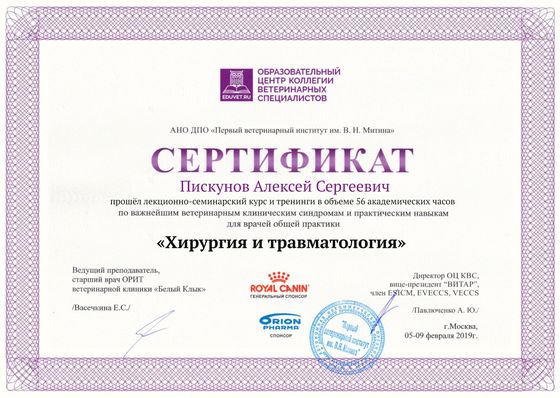 Сертификат: Пискунов Алексей Сергеевич