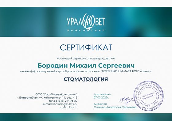 Сертификат: Бородин Михаил Сергеевич