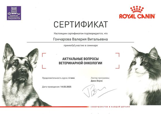 Сертификат: Гончарова Валерия Витальевна