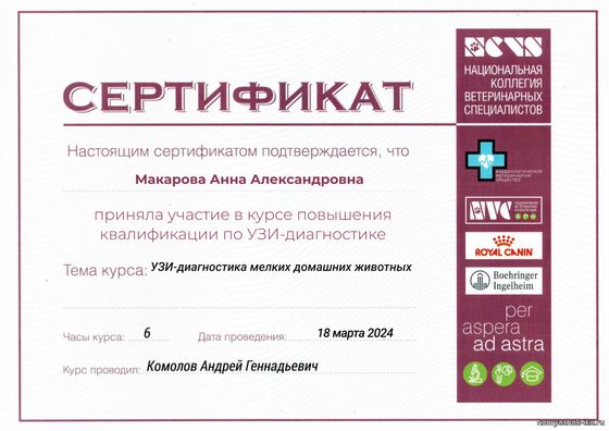 Сертификат: Макарова Анна Александровна
