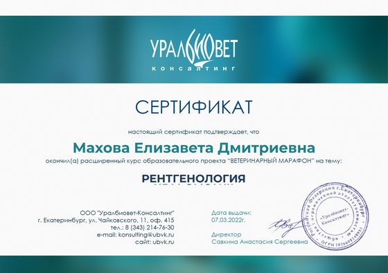 Сертификат: Махова Елизавета Дмитриевна