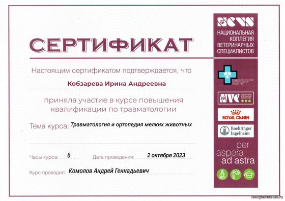 Сертификат: Кобзарева Ирина Андреевна